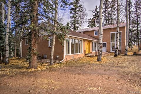 789 Ridge Dr, Divide, CO 80814 photo 1