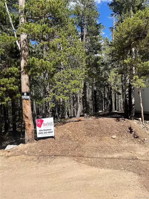 000 Silver Creek Rd, Idaho Springs, CO 80452