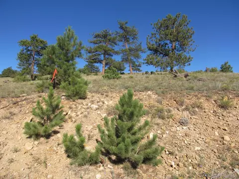 Lot 5082 Arikara Trail, Hartsel, CO 80449