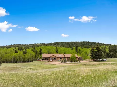 689 Divide S, Divide, CO 80814 photo 46