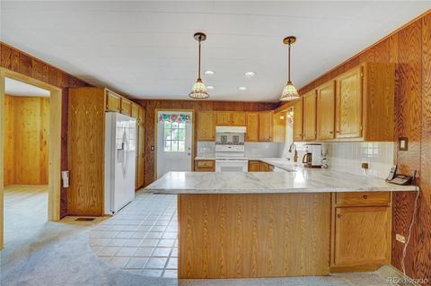 28 Gail Ln, Bailey, CO 80421 photo 10