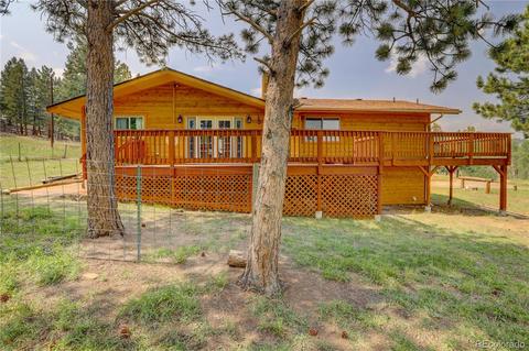 28 Gail Ln, Bailey, CO 80421 photo 26