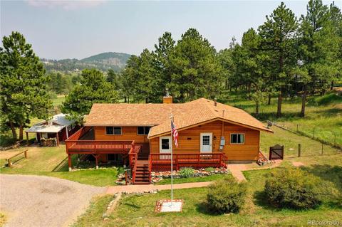 28 Gail Ln, Bailey, CO 80421 photo 3