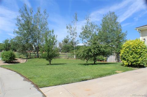 1905 E 127th Cir, Thornton, CO 80241 photo 4