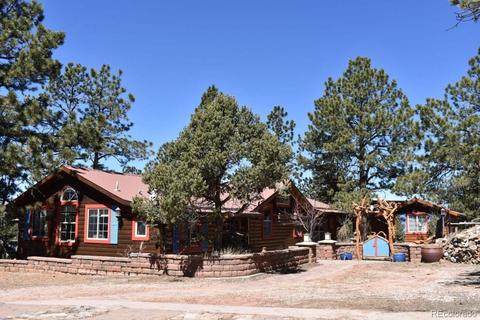 73 Eagle Vista Dr, Westcliffe, CO 81252 photo 1