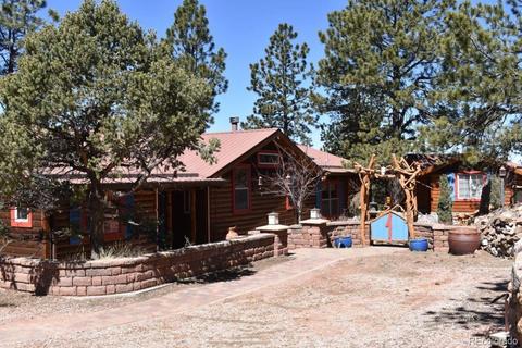 73 Eagle Vista Dr, Westcliffe, CO 81252 photo 2