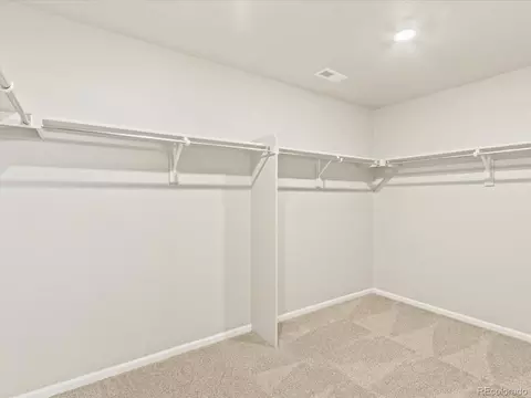 851 Forest Canyon Rd, Severance, CO 80550 photo 23