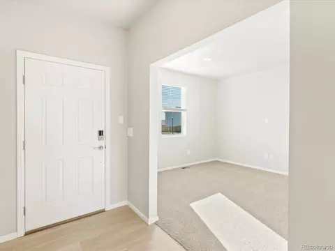 851 Forest Canyon Rd, Severance, CO 80550 photo 4