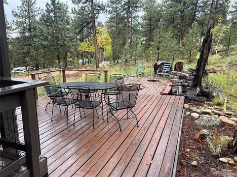 Exterior - 187 Johnson Rd, Bailey, CO 80421 photo 13 of 21