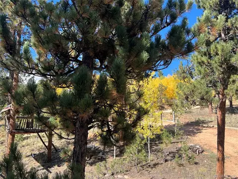 Exterior - 187 Johnson Rd, Bailey, CO 80421 photo 14 of 21