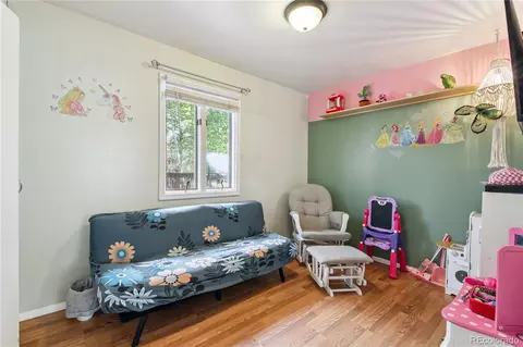 466 Gunsmoke Dr, Bailey, CO 80421 photo 15
