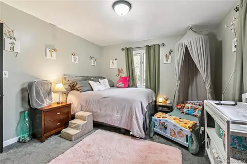 466 Gunsmoke Dr, Bailey, CO 80421 photo 14