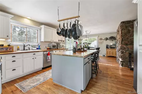 466 Gunsmoke Dr, Bailey, CO 80421 photo 6