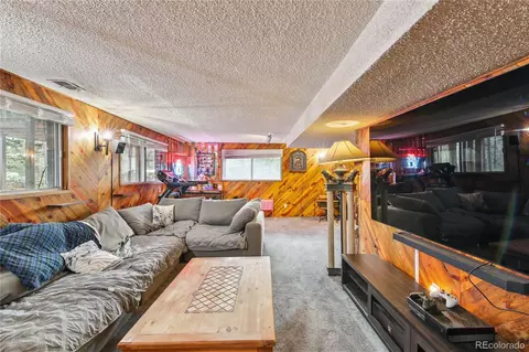 466 Gunsmoke Dr, Bailey, CO 80421 photo 19
