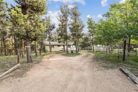 466 Gunsmoke Dr, Bailey, CO 80421