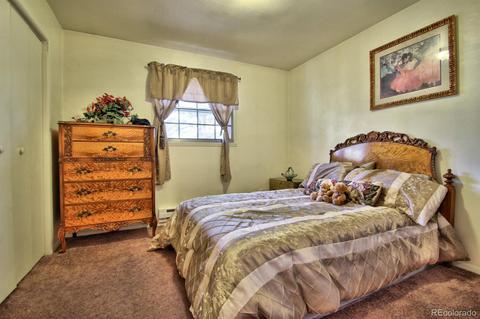 428 Impala Trl, Bailey, CO 80421 photo 9