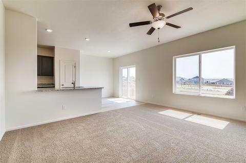 1067 Long Meadows St, Severance, CO 80550 photo 3