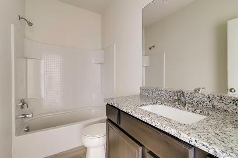 1067 Long Meadows St, Severance, CO 80550 photo 13