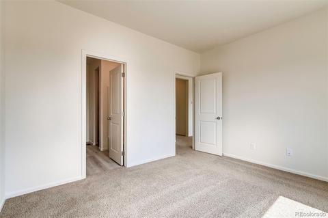 1067 Long Meadows St, Severance, CO 80550 photo 9
