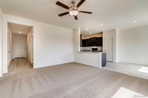 1067 Long Meadows St, Severance, CO 80550 photo 4