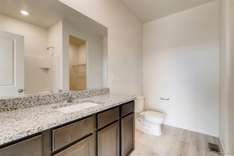 1067 Long Meadows St, Severance, CO 80550 photo 10