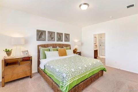 7460 E 157th Pl, Thornton, CO 80602 photo 19