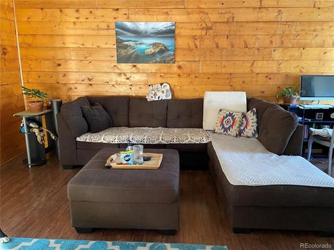 83 Leprechaun Ln, Howard, CO 81233 photo 7