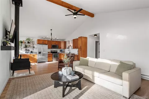 Other - 236 Summit Dr, Bailey, CO 80421 photo 3 of 10