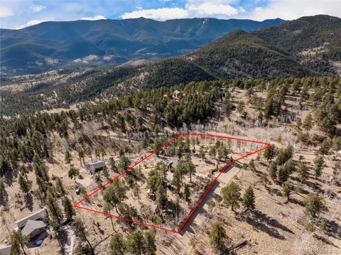 View/Area - 236 Summit Dr, Bailey, CO 80421 photo 5 of 5
