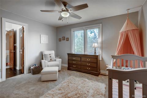 10032 Poudre Ct, Lone Tree, CO 80124 photo 20