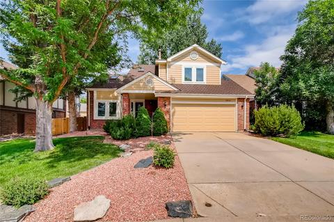 10032 Poudre Ct, Lone Tree, CO 80124 photo 2