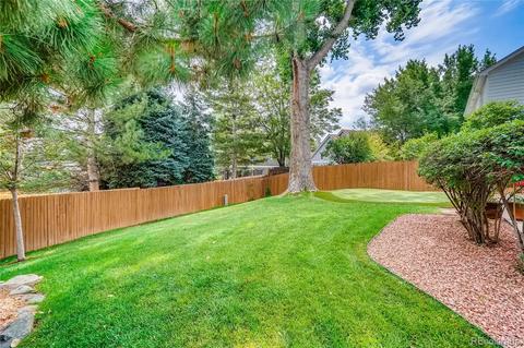 10032 Poudre Ct, Lone Tree, CO 80124 photo 30