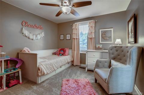 10032 Poudre Ct, Lone Tree, CO 80124 photo 19