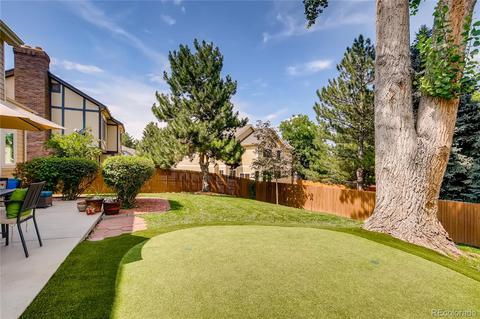 10032 Poudre Ct, Lone Tree, CO 80124 photo 33