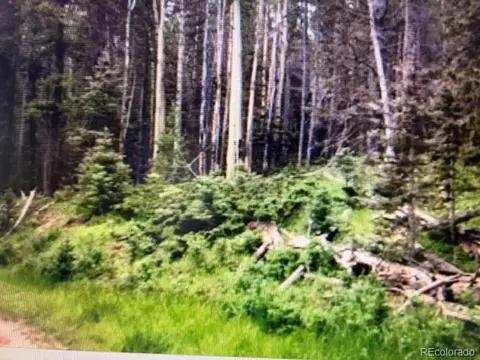 00 Drexler Pl, Fort Garland, CO 81133