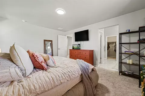 6733 E 119th Pl, Thornton, CO 80233 photo 13