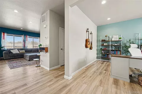 6733 E 119th Pl, Thornton, CO 80233 photo 3