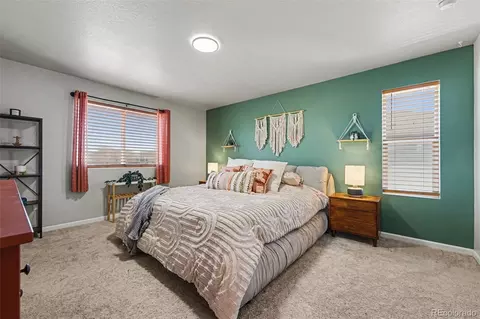 6733 E 119th Pl, Thornton, CO 80233 photo 12