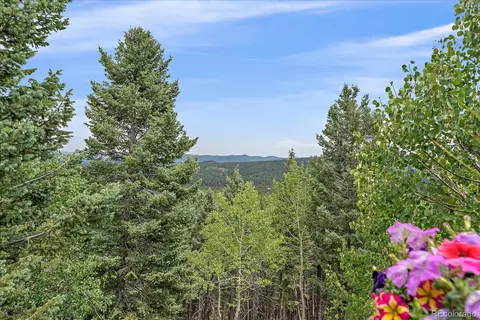 10438 Christopher Dr, Conifer, CO 80433 photo 42