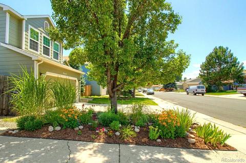 8656 Apache Plume Dr, Parker, CO 80134 photo 2