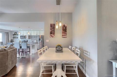 8656 Apache Plume Dr, Parker, CO 80134 photo 5