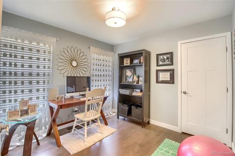 8656 Apache Plume Dr, Parker, CO 80134 photo 15