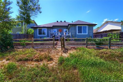 8656 Apache Plume Dr, Parker, CO 80134 photo 23
