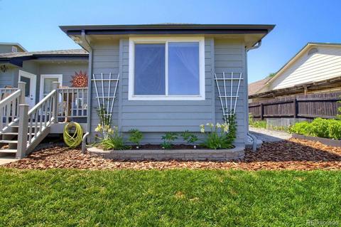 8656 Apache Plume Dr, Parker, CO 80134 photo 24