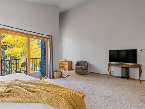 1107 Penstemon Rd, Dillon, CO 80435 photo 24