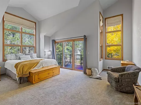 1107 Penstemon Rd, Dillon, CO 80435 photo 23