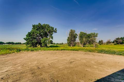 3502 E 90th Pl, Thornton, CO 80229 photo 26