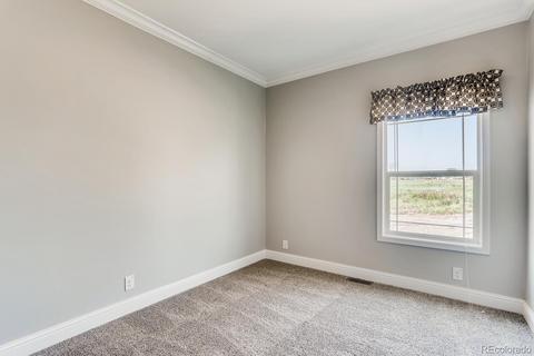 3502 E 90th Pl, Thornton, CO 80229 photo 22