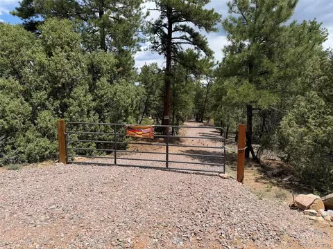 165 Mosswood Dr, Cotopaxi, CO 81223