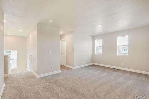 516 Fall River Ct, Brighton, CO 80601 photo 17